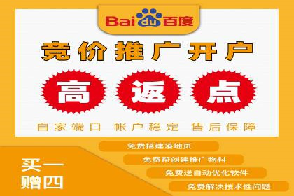 SEM推广实战：成功案例解读与策略调整